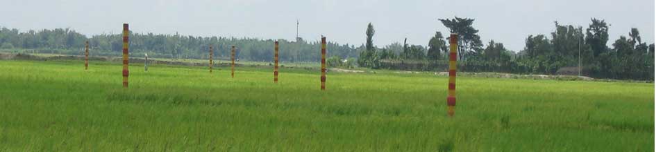 ভূ-গর্ভস্থ সেচনালা