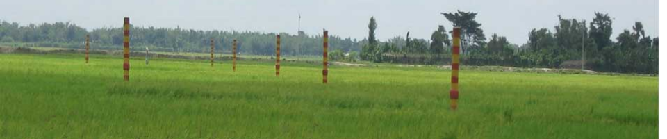 পাইপ লাইন