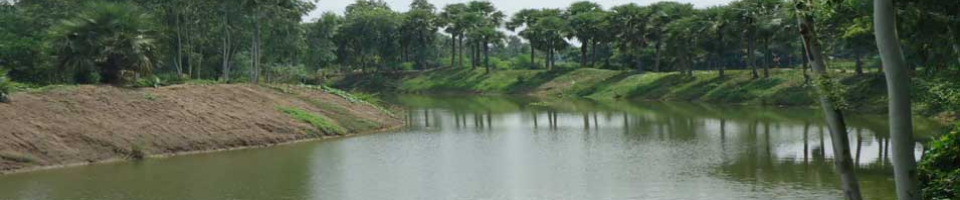 আদমদিঘি, বগুড়া