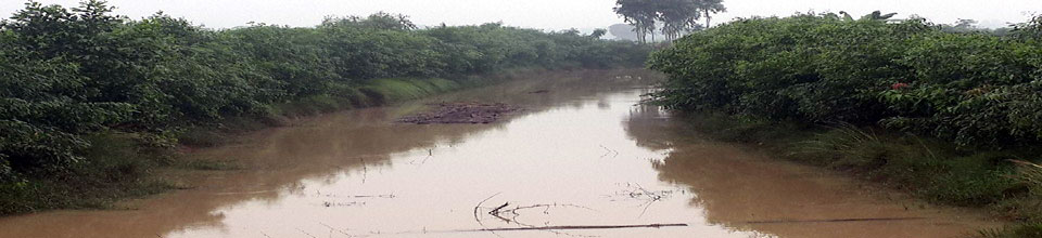 বিএমডিএ/খাস/খাল/খাড়ী