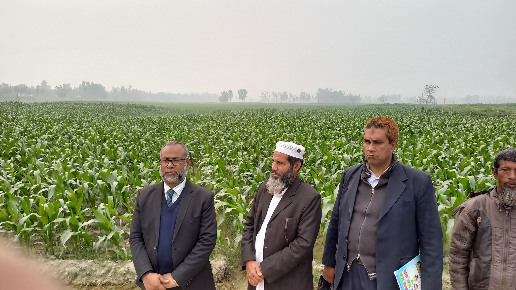 সোলাল প্যানেল