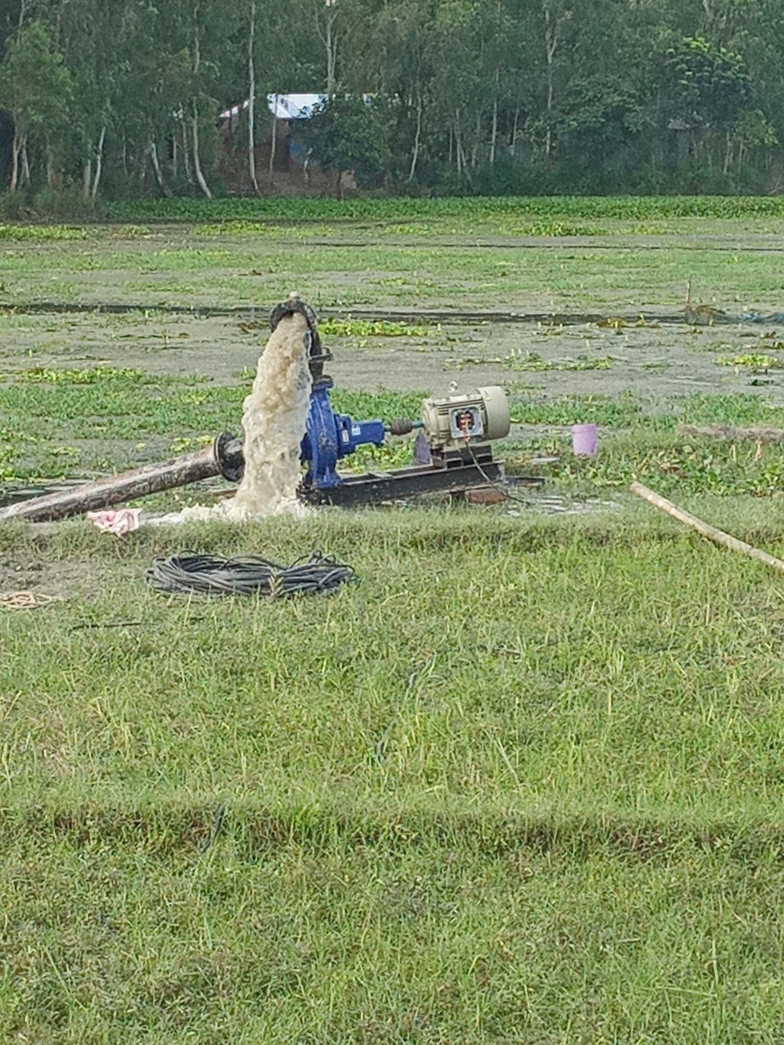পাছগাছি সোলার এলএলপি