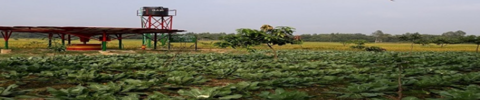 Barind Multipurpose Development Authority