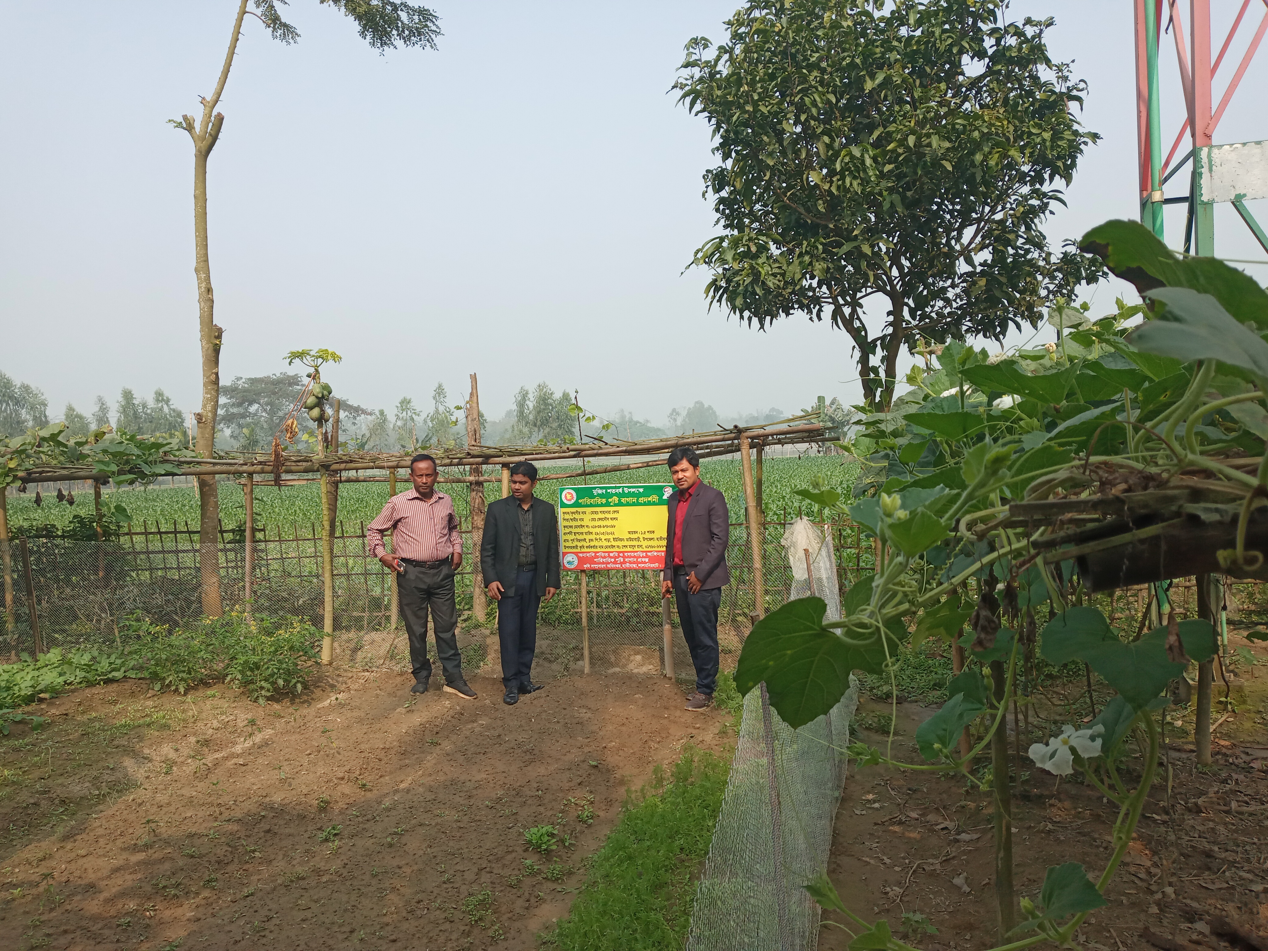 পাতকুয়ার সাইট