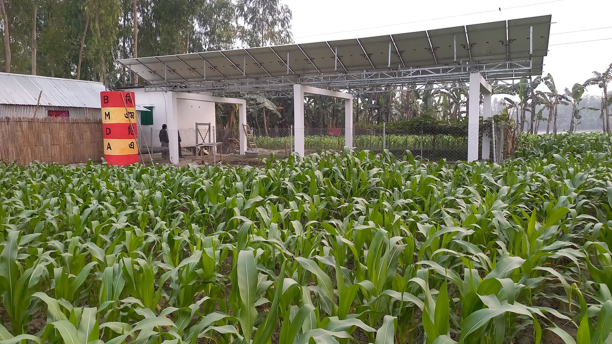 সোলাল প্যানেল