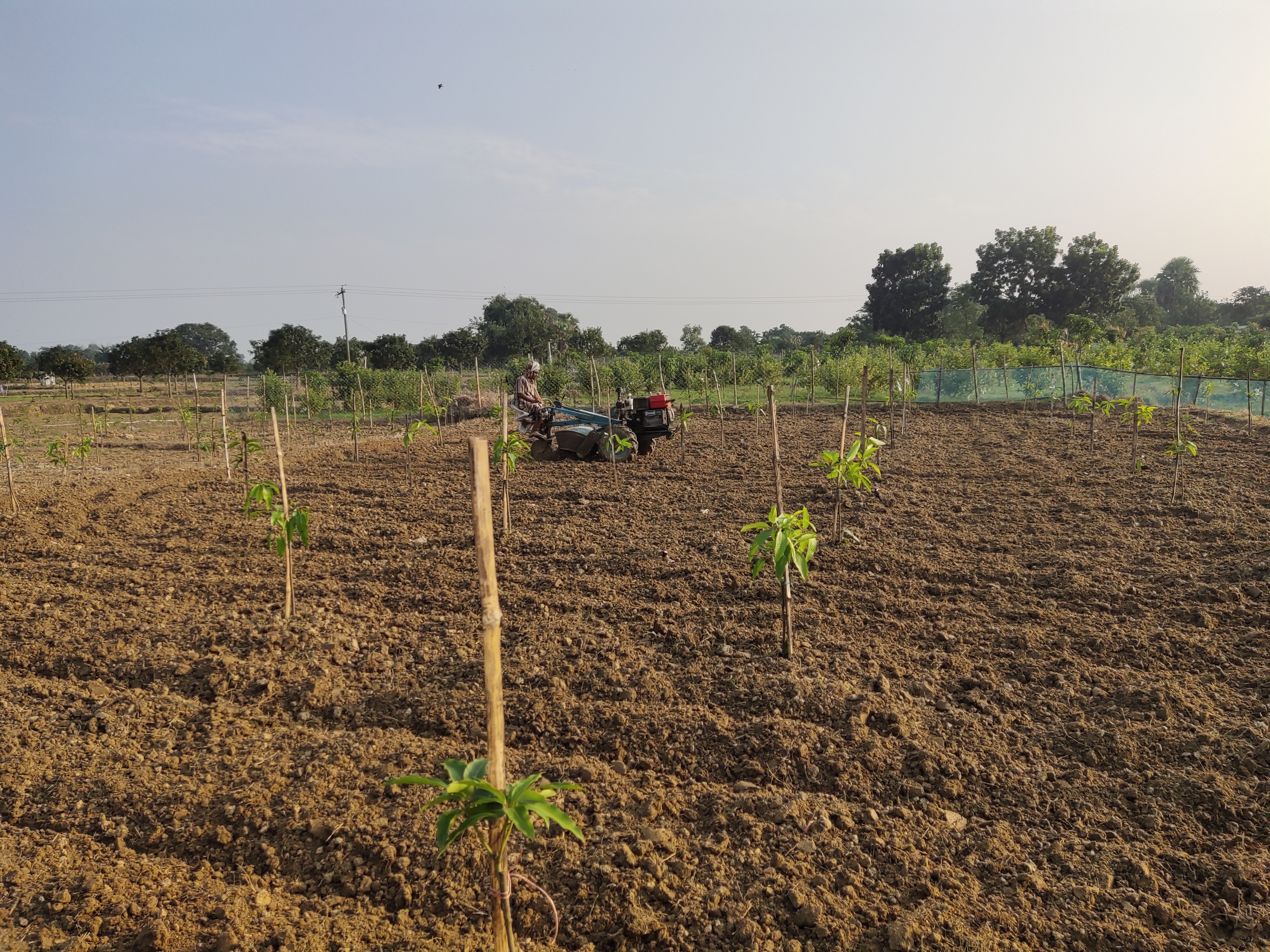 মাঠ পর্যায়ে খাষ পুকুর পুনঃ খনন, গনকু পরিদর্শন, কৃষক মিটিং