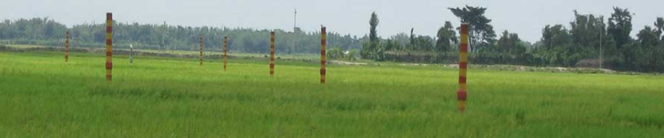 পাইপ লাইন