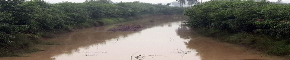 খাল/খাড়ি পূনঃ খনন