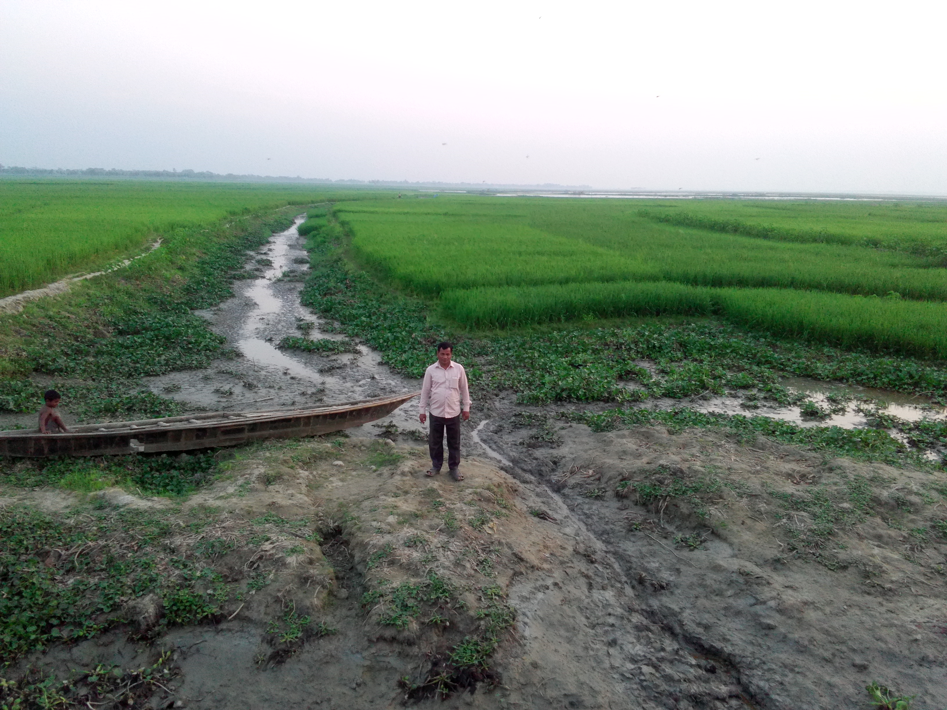 চলমান কাজের ছবি