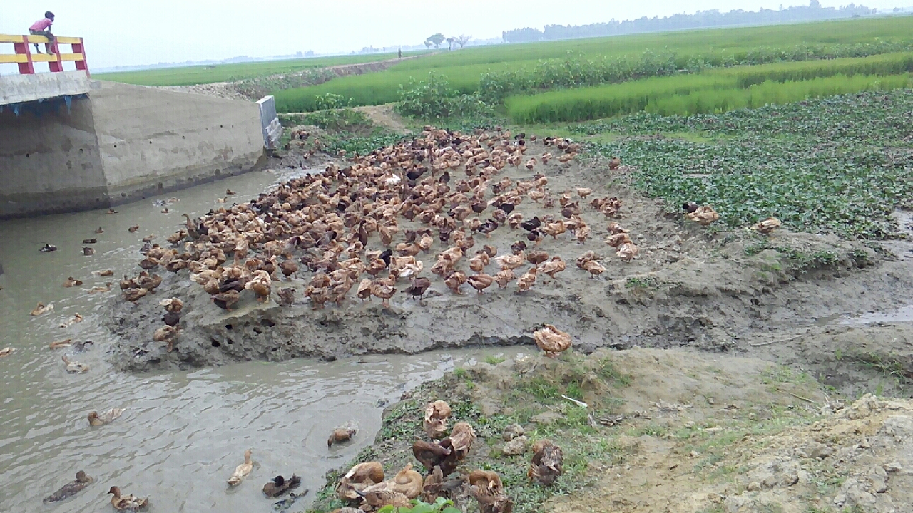 চলমান কাজের ছবি