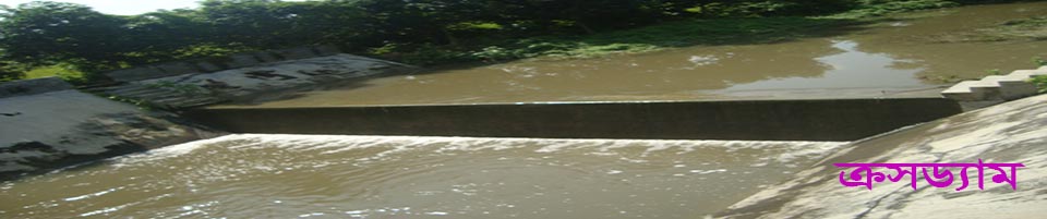 ক্রসড্যাম