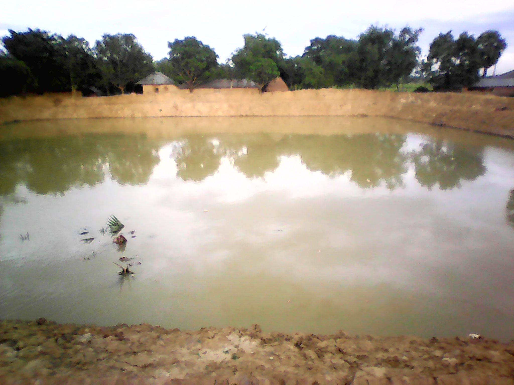 ই-সেবা কেন্দ্র, জেলা প্রশাসন