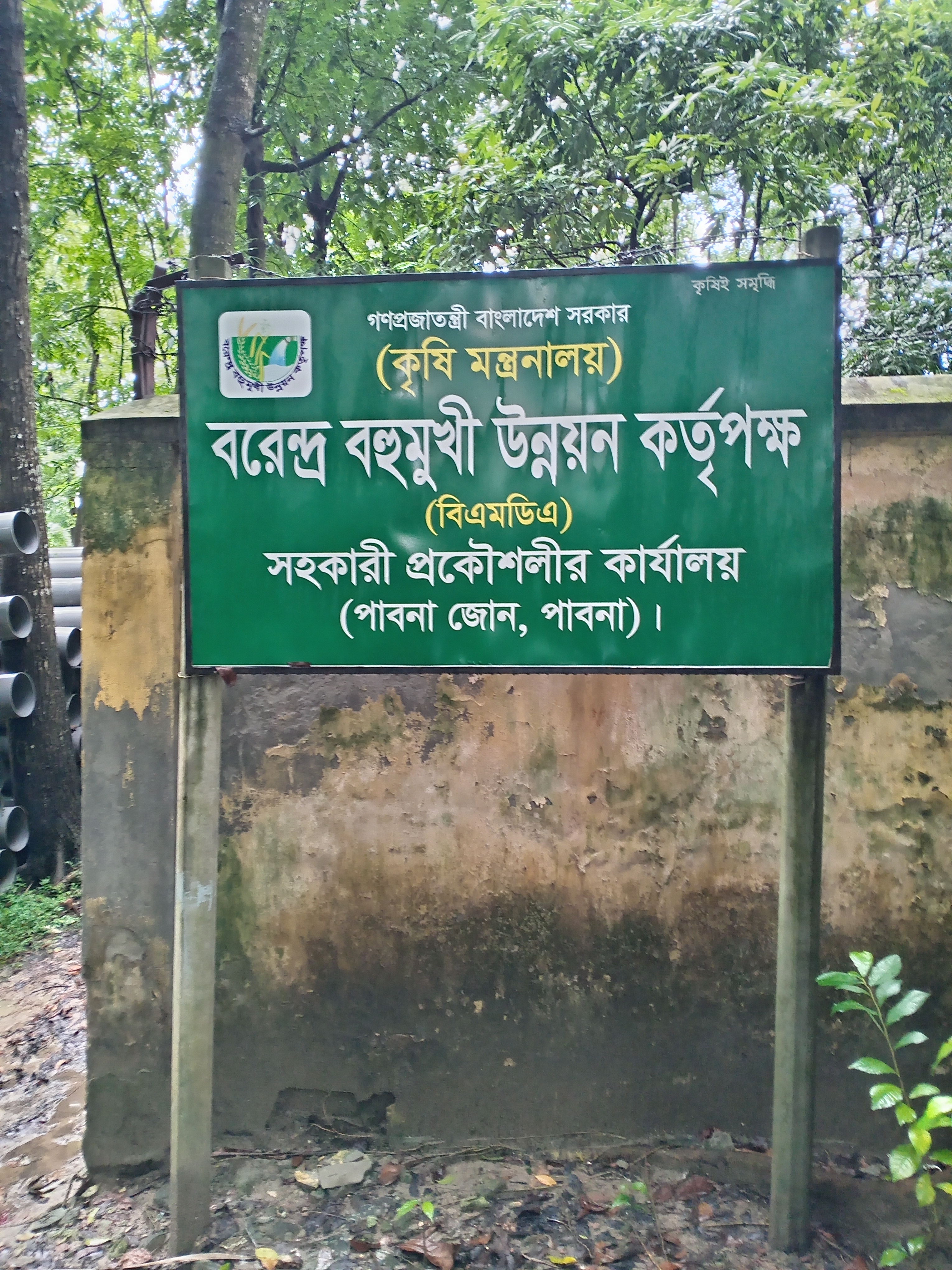 সিটিসেন চ্যার্টার