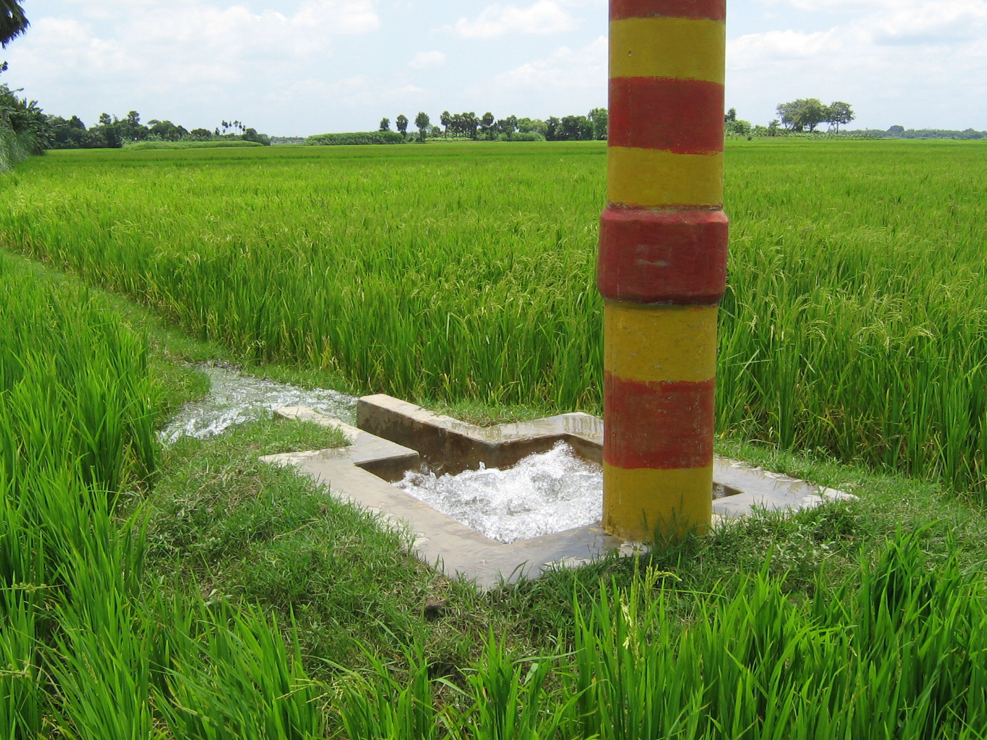 সেচনালার আউটলেট