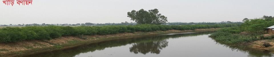 খাড়ি বণায়ন