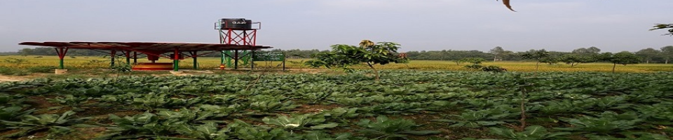 পাতকুয়া