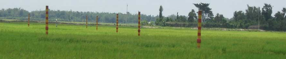 web banner
