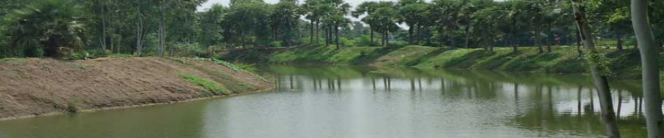 খাল খনন