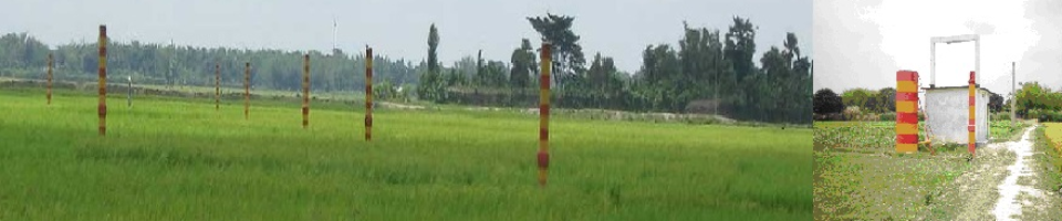 বিএমডিএ, রানীশংকৈল জোন, ঠাকুরগাঁও।