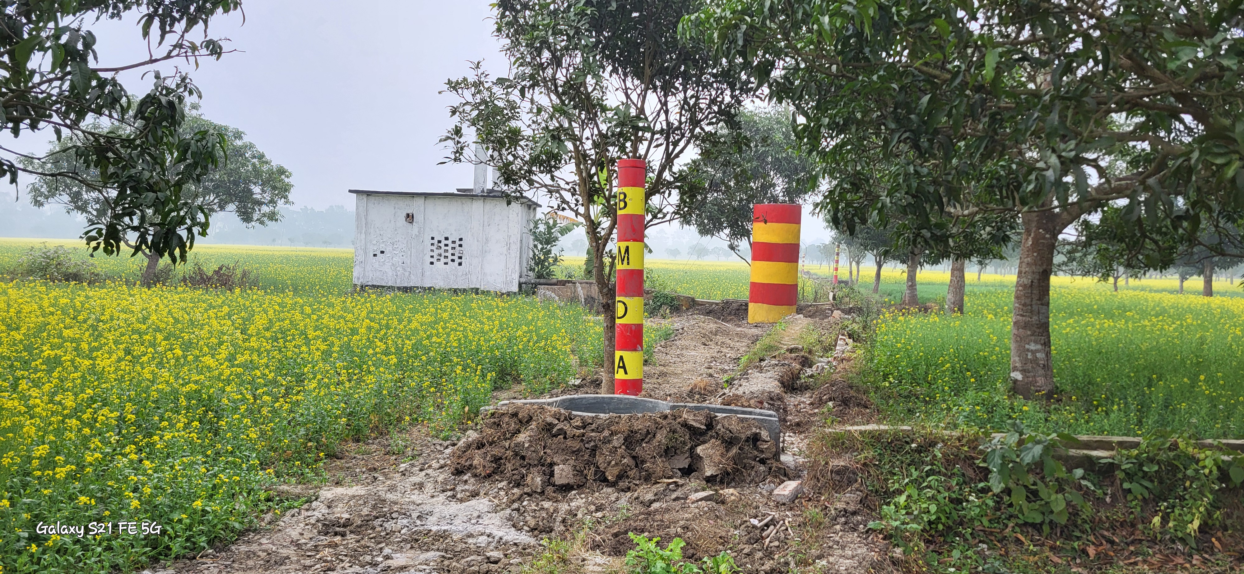 ব্যানার- ২