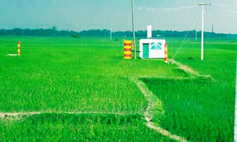 বরেন্দ্র বহুমুখী উন্নয়ন কতৃপক্ষ, তারাগঞ্জ, রংপুর।