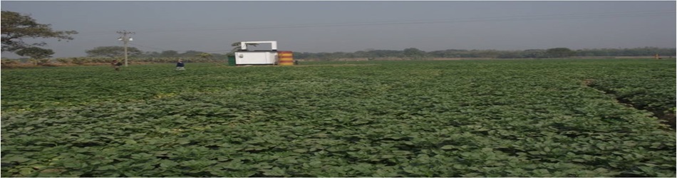 গভীর নলকূপ