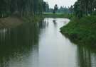সেবাসমূহ
