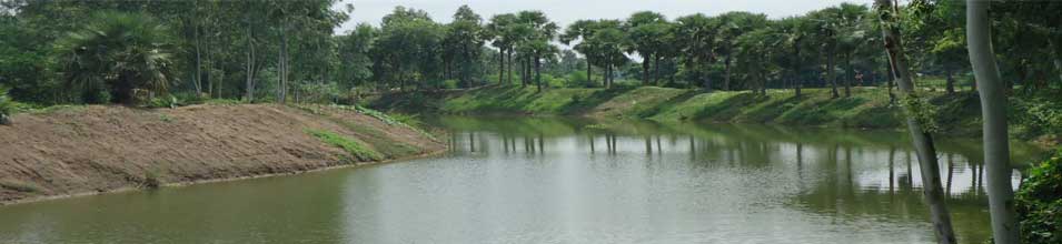 আদমদীঘি খাল-২