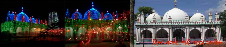 পিডিবিএফ ক্ষেতলাল