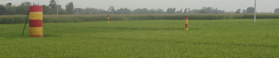 rangpur division