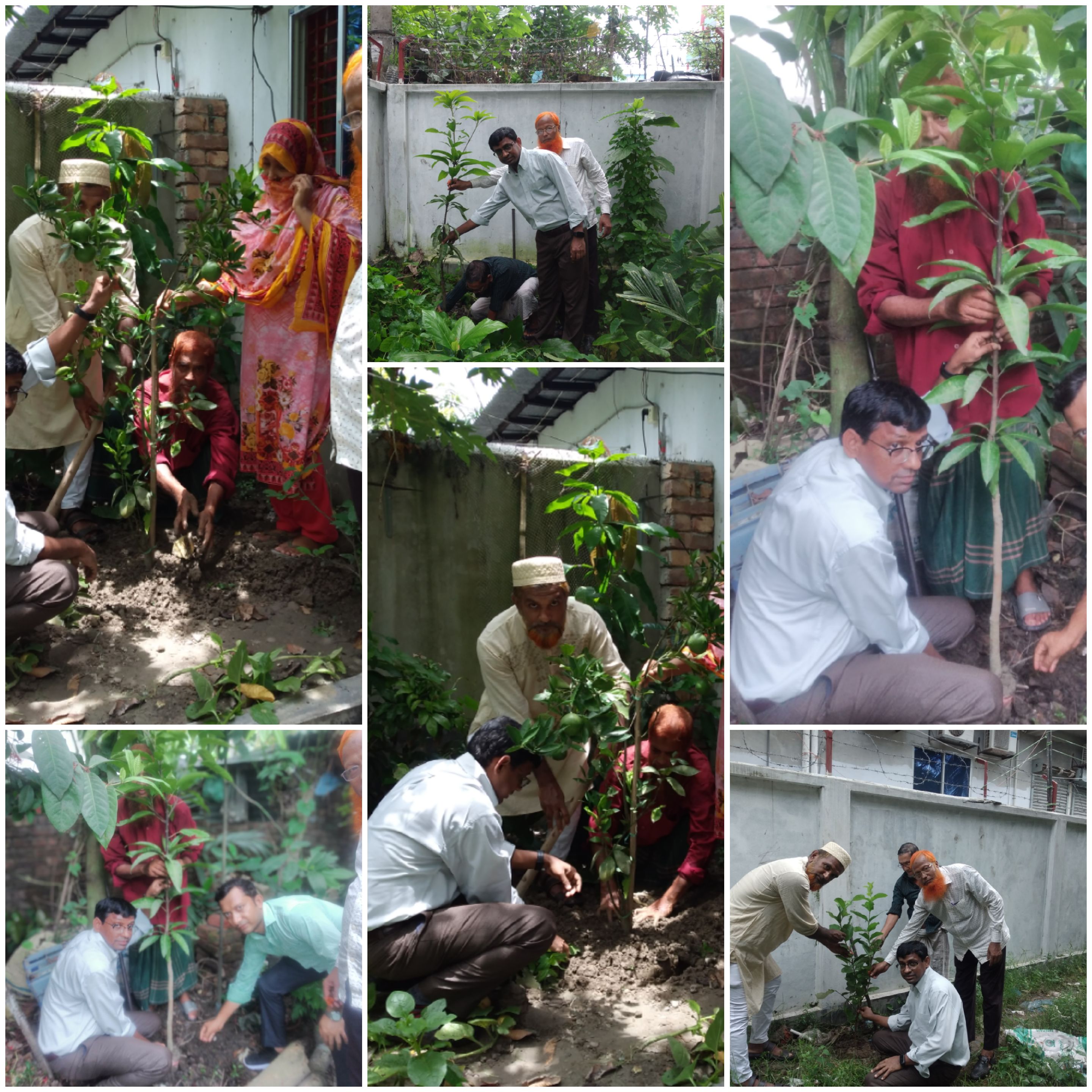ডিইএমও, খুলনার উদ্যোগে বৃক্ষরোপন কর্মসূচী