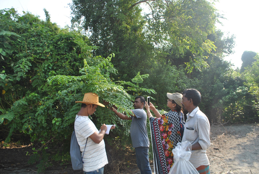 নমুনা, ছবি সংগ্রহ এবং ফিল্ড নোটবুকে তথ্য উপাত্ত লিপিবদ্ধকরণ, লেমুর বন, কুয়াকাটা।