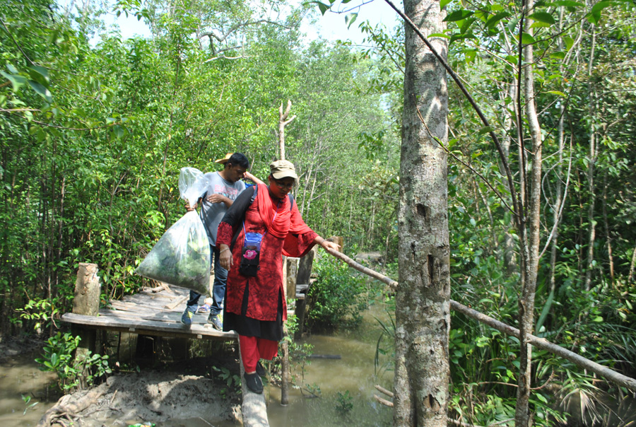 ঝুঁকিপূর্ণ সাকো পারাপার, টেংরাগিরি অভয়ারণ্য, বরগুনা