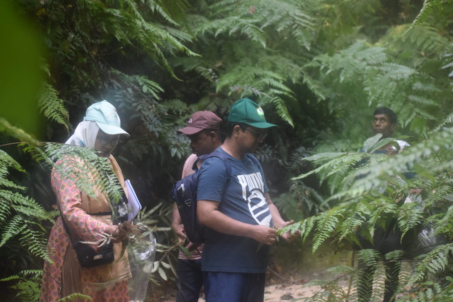 বাংলাদেশ ন্যাশনাল হারবেরিয়ামের এপিএ বাস্তবায়নে নিয়মিত কার্যক্রম (কর্মসম্পাদন সূচক ১.১.১) এর অংশ হিসেবে হবিগঞ্জ জেলার চুনারুঘাট উপজেলার অধীনস্থ সাতছড়ি ন্যাশনাল পার্ক রক্ষিত অঞ্চল হতে ছবিসমেত তথ্য উপাত্তসহ উদ্ভিদ নমুনা সংগ্রহের জন্য ২৬ নভেম্বর ২০২৩ খ্রি: হতে ৩০ নভেম্বর ২০২৩ খ্রি: তারিখ পর্যন্ত ফিল্ডট্রিপ পরিচালিত হয় যার কার্যক্রমের সচিত্র বিবরণ
