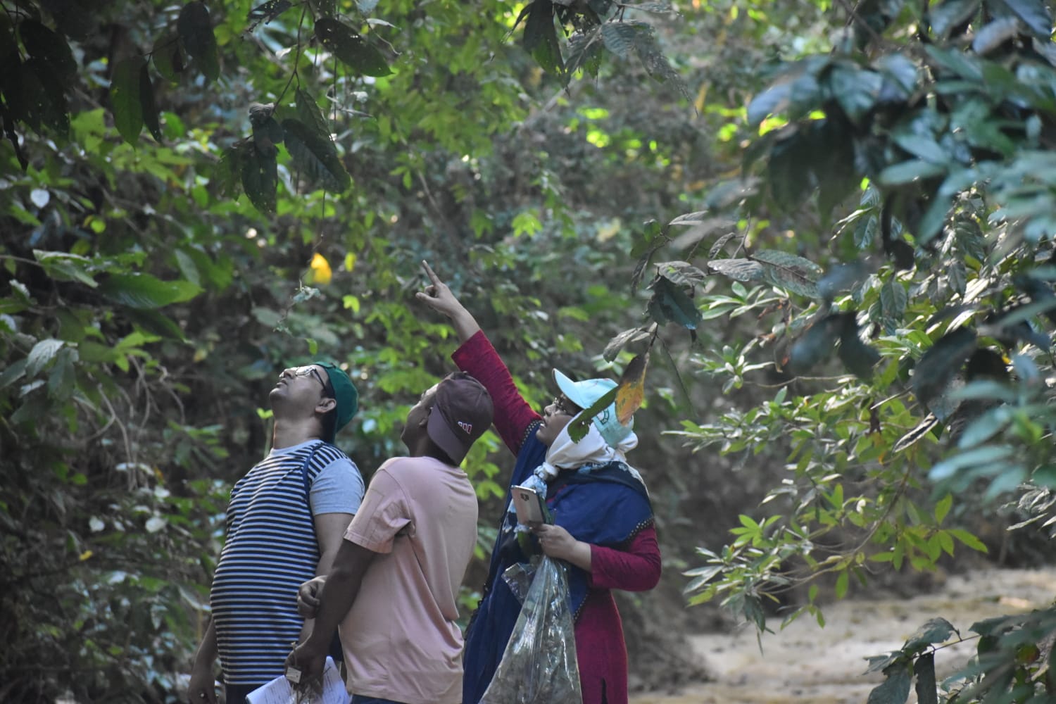 বাংলাদেশ ন্যাশনাল হারবেরিয়ামের এপিএ বাস্তবায়নে নিয়মিত কার্যক্রম (কর্মসম্পাদন সূচক ১.১.১) এর অংশ হিসেবে হবিগঞ্জ জেলার চুনারুঘাট উপজেলার অধীনস্থ সাতছড়ি ন্যাশনাল পার্ক রক্ষিত অঞ্চল হতে ছবিসমেত তথ্য উপাত্তসহ উদ্ভিদ নমুনা সংগ্রহের জন্য ২৬ নভেম্বর ২০২৩ খ্রি: হতে ৩০ নভেম্বর ২০২৩ খ্রি: তারিখ পর্যন্ত ফিল্ডট্রিপ পরিচালিত হয় যার কার্যক্রমের সচিত্র বিবরণ