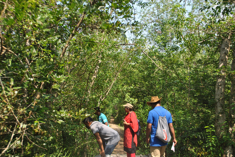 উদ্ভিদ নমুনা সংগ্রহকরণ, টেংরাগিরি অভয়ারণ্য, বরগুনা