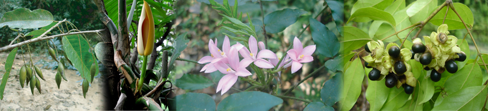 ব্যানার৫