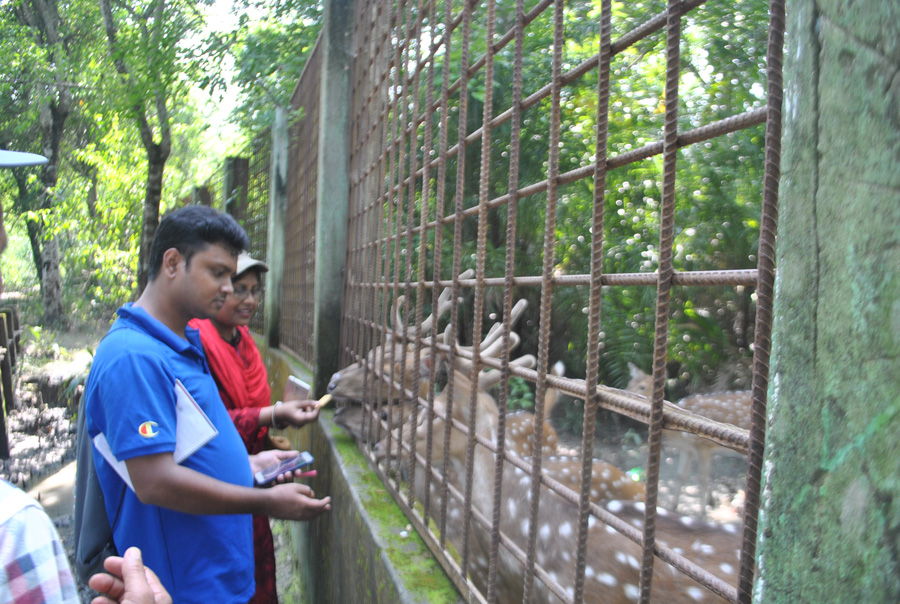 হরিণের বেষ্টনী, টেংরাগিরি অভয়ারণ্য, বরগুনা