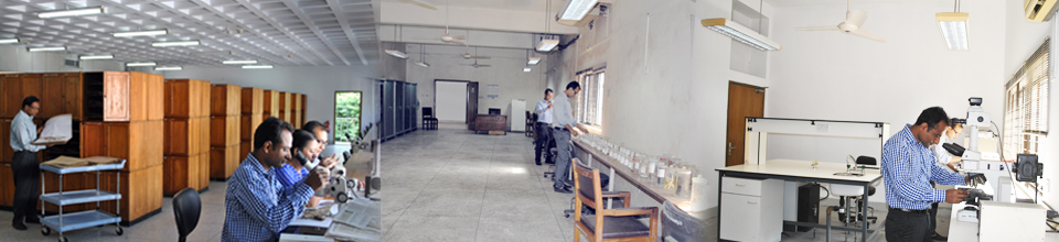 ব্যানার৪