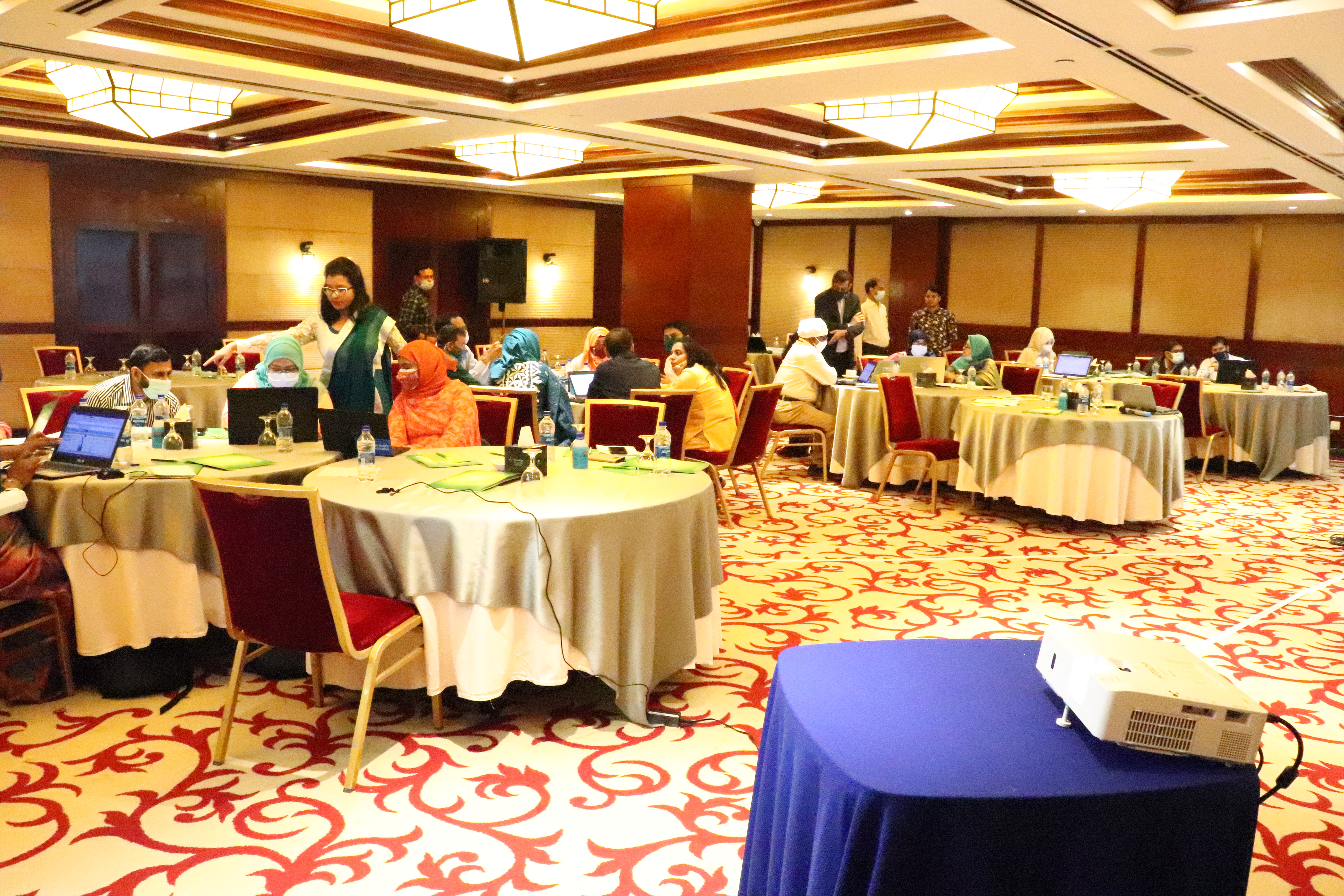 বিএনএনসি এর কর্ম পরিকল্পনা পর্যালোচনা কর্মশালা