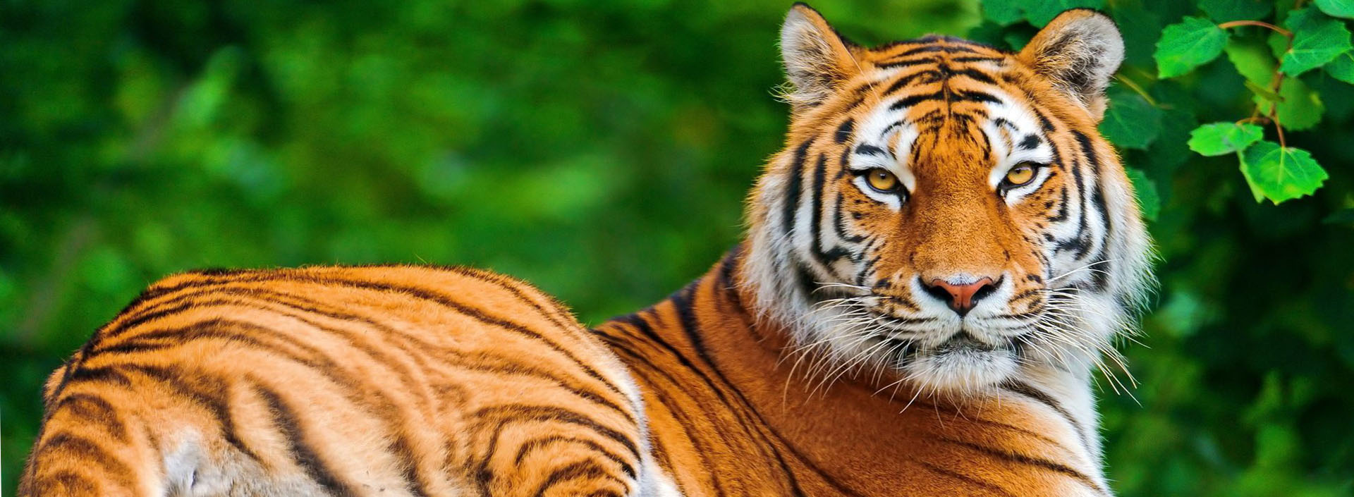 বাংলাদেশ জাতীয় চিড়িয়াখানা