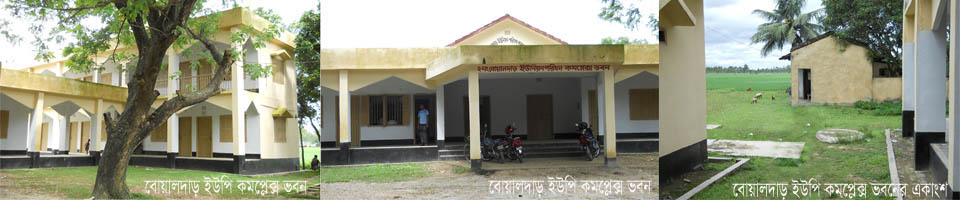 ২ নং বোয়ালদাড় ইউনিয়ন পরিষদ