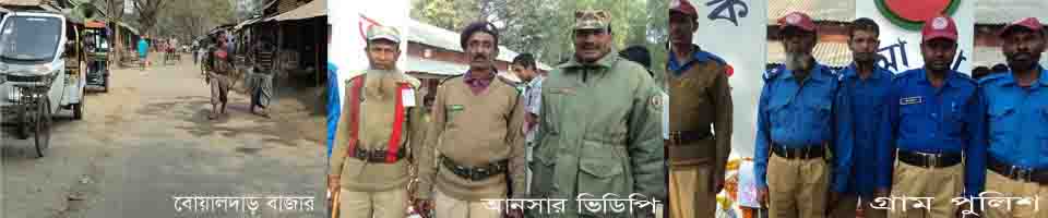 বোয়ালদাড় বাজার, আনসার ভিডিপি এবং গ্রাম পুলিশ