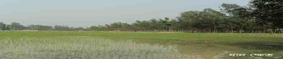 বোয়ালদার ইউনিয়নের কৃষি