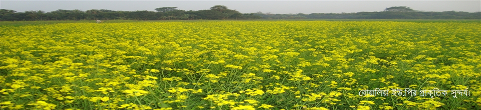 বোয়ালিয়া ইউ.পির প্রাকৃতিক সুন্দর্য।
