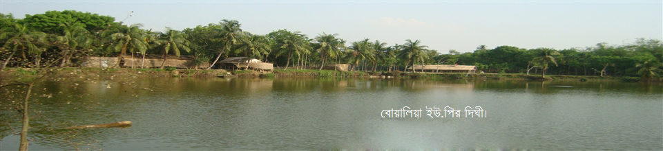 বোয়ালিয়া ইউ.পির দিঘী।