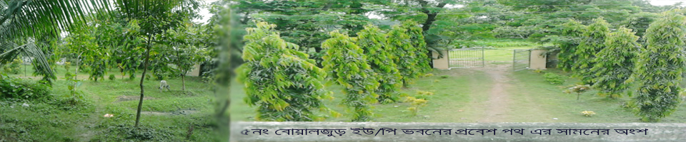 ৫ নং বোয়ালজুড় ইউনিয়নের প্রবেশ পথ