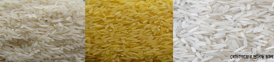বোচাগঞ্জের প্রসিদ্ধ চাল
