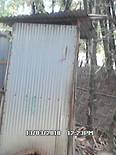 Sheba Box