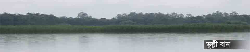 ভুল্লি বাণ
